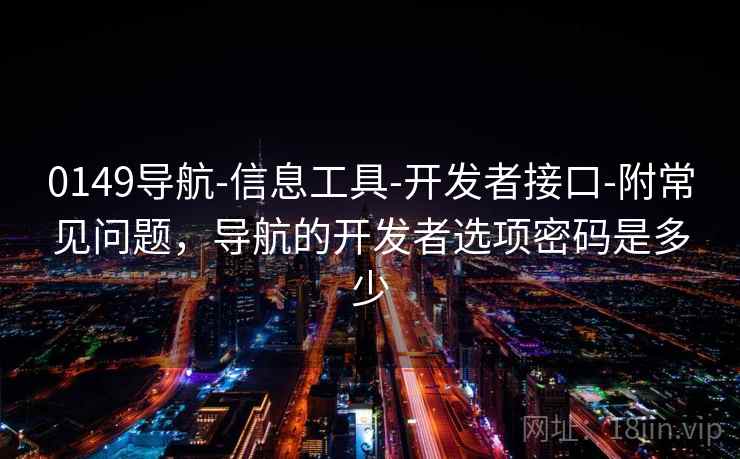 0149导航-信息工具-开发者接口-附常见问题，导航的开发者选项密码是多少